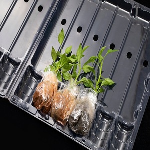 Bandeja de Transporte de Plástico para Plántulas 725X430X6mm, Caja de Embalaje Transparente para Uso en Viveros de Vegetales y Flores - Product Image 1