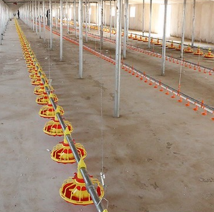 Système d'alimentation <span class=keywords><strong>automatique</strong></span> en cage pour les exploitations avicoles - Product Image 4
