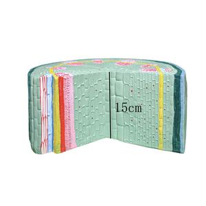 Modèle <span class=keywords><strong>de</strong></span> tige <span class=keywords><strong>de</strong></span> dicotylépine pour l'enseignement <span class=keywords><strong>de</strong></span> la biologie |   Modèle anatomique <span class=keywords><strong>de</strong></span> tige <span class=keywords><strong>de</strong></span> plante <span class=keywords><strong>de</strong></span> <span class=keywords><strong>laboratoire</strong></span> - Product Image 2