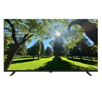 TV LED Pintar 19 22 24 26 inci dengan Android dan WiFi untuk Penggunaan Hotel dan Rumah
