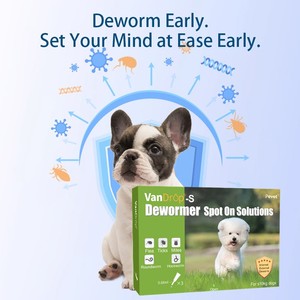 Tratamiento Antiparasitario Mensual para Gatos, Control Efectivo de Pulgas, Garrapatas y Otras Parasitarias, Gotas Antiparasitarias, Apoyo Inmunológico, Cuidado de la Piel, Disponible - Product Image 3