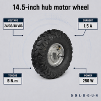 Moteur de moyeu électrique tout-terrain GOLDGUN 14,5 pouces 24V 36V 48V 250W 5N.m à grande roue motrice pour tricycles et motos électriques légers