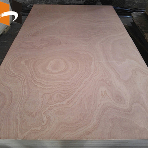 Plaques <span class=keywords><strong>de</strong></span> contreplaqué en <span class=keywords><strong>bois</strong></span> <span class=keywords><strong>de</strong></span> sapele <span class=keywords><strong>acajou</strong></span> naturel décoratif commercial <span class=keywords><strong>de</strong></span> 3 mm 4 mm - Product Image 4