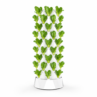 Tour hydroponique multi-niveaux à 10 couches, jardinière verticale avec pompe à eau et éponge pour la production de légumes en serre commerciale