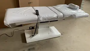 Electric Adjustable Beauty Bed Can Adjust Up And Down Angle To Support Custom Massage Acupuncture Puncture Bed