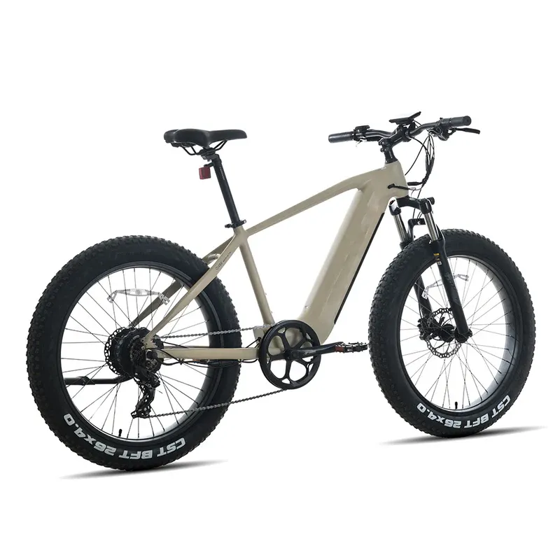 N/A USA America   Canada Stocked wholesale High Power ebike 750w 26 inch fat tire electric mountain bicycle e cycles bike ebike