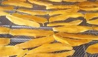 Industriële automatische warmtepompdroger voor voedsel, fruit & groente droogoven met roestvrijstalen dienblad