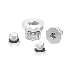 ss304 DIN908 Stainless Steel Hexagon Socket Head Flange Insert Plug