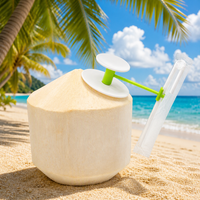 Ouvre-noix de coco facile avec paille pour jeunes noix de coco, perforateur de pression en plastique léger, vert/rouge/blanc