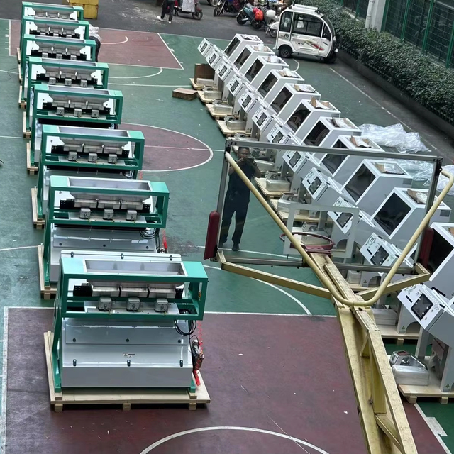 High Efficiency 3 Chutes Desiccated Coconut Color Separator Machine for Coconut Color Sorting Machine