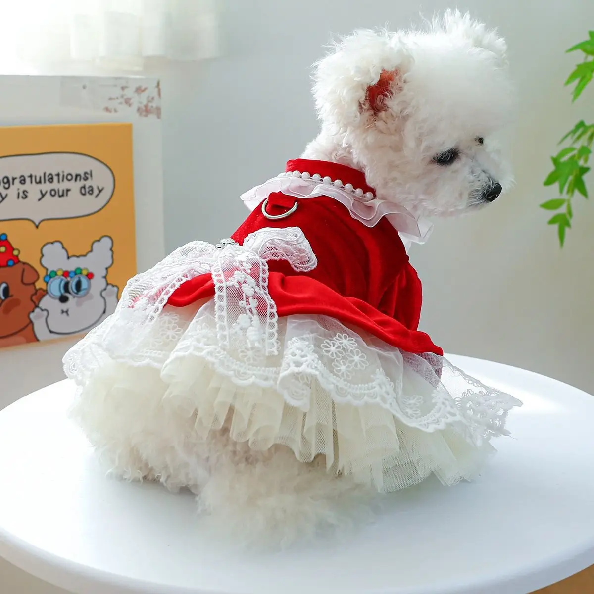 Hundebekleidung Katzenbekleidung Bogenbinden Spitzenrand Prinzessin luxuriöses Samtkleid Kleider