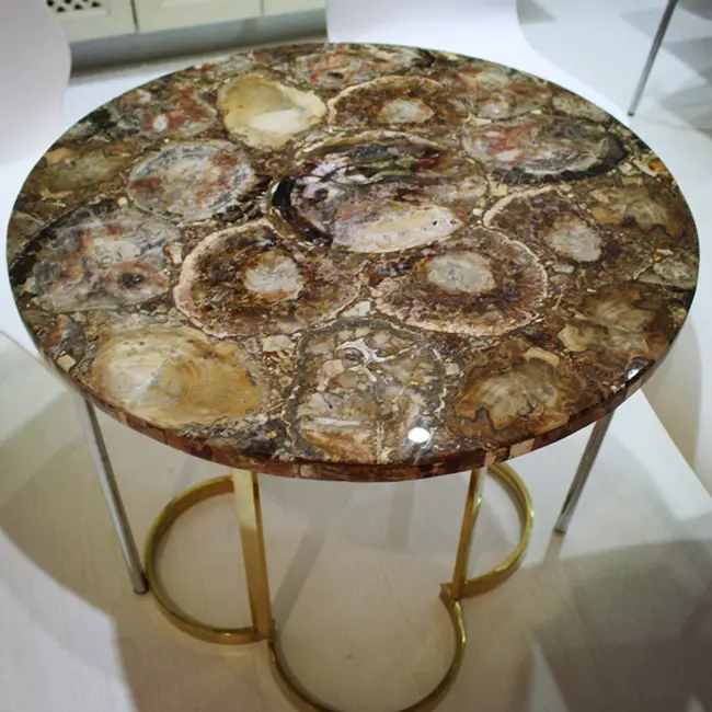 China petrified wood fossils semi precious stone slab table top for sale