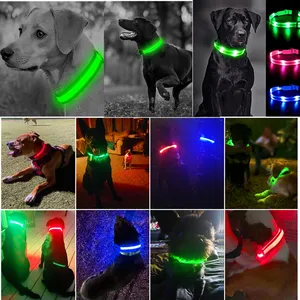 Collar Led antipérdida para perros y cachorros, Accesorios luminosos de noche para mascotas, carga USB/batería