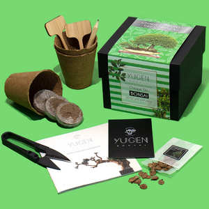 Kit <span class=keywords><strong>de</strong></span> culture d'arbre bonsaï d'<span class=keywords><strong>orme</strong></span> chinois Pot cadeaux <span class=keywords><strong>de</strong></span> jardinage uniques ensemble d'outils ensemble d'espèces kit <span class=keywords><strong>de</strong></span> démarrage <span class=keywords><strong>de</strong></span> bonsaï - Product Image 2