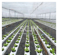 Système hydroponique NFT multi-niveaux en forme de A pour la culture de la laitue, des herbes aromatiques et des légumes à feuilles, à usage agricole