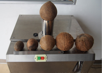 Machine de décorticage de balle de noix de coco à prix usine machine de décorticage de noix de coco en vente
