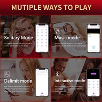2021 Neue APP-Fernbedienung Tragbare Vibrierende Höschen Klitoris-Nippel-Stimulator Pussy-Saug-Höschen-Vibrator