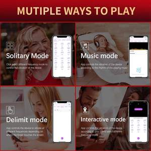 2021 yeni APP uzaktan kumanda giyilebilir titreşimli külot klitoral meme stimülatörü kedi emme külot vibratör - Product Image 6