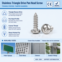 Ventes Flash : Vis de Sécurité Autotaraudeuses à Tête Cylindrique Triangulaire en Acier Inoxydable Passifé M2-M6 pour Plaques d'Immatriculation et Couvre-Ascenseurs (ODM)