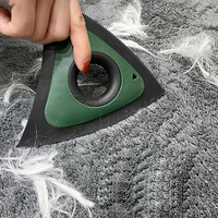 Brosse de nettoyage pour poils d'animaux (chats, chiens), brosse de détaillage intérieur pour lavage de voiture, grattoir anti-poils d'animaux