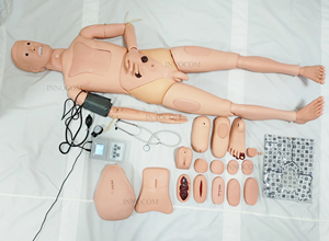 Manikin ทางการแพทย์สำหรับการพยาบาลกายวิภาคกับเครื่อง<span class=keywords><strong>วัด</strong></span><span class=keywords><strong>ความ</strong></span><span class=keywords><strong>ดัน</strong></span><span class=keywords><strong>โลหิต</strong></span>การสอนทาง<span class=keywords><strong>การ</strong></span>แพทย์วิทยาศาสตร์<span class=keywords><strong>การ</strong></span>แพทย์ - Product Image 2