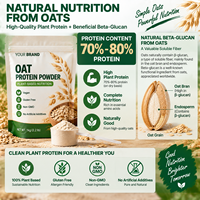 Poudre de Protéine d'Avoine Sans Gluten Certifiée Sans OGM Protéine Végétale Végétalienne pour les Personnes Hypoallergéniques Sans OGM Provenant de Distributeurs de Confiance