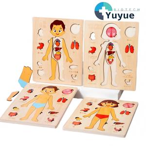 Rompecabezas de Madera Montessori de la Estructura del Cuerpo Humano, Juguete Educativo para Niños, Aprendizaje Cognitivo de los Órganos Internos y el <span class=keywords><strong>Esqueleto</strong></span> - Product Image 1