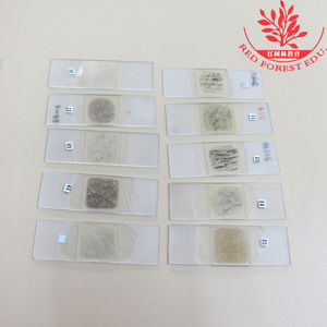 Secciones de especímenes geológicos y minerales, 24 tipos de microscopía de luz polarizada, sellado con resina de abeto de 30 m de espesor, geológico - Product Image 5