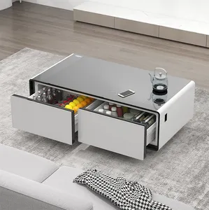 Primst Smart Refrigerator Coffee Table Multifunctional Refrigerator Home Appliances 135L