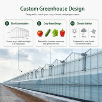 Serre agricole moderne en verre à structure Venlo multi-voûtes pour pépinière professionnelle et projet de culture de fleurs
