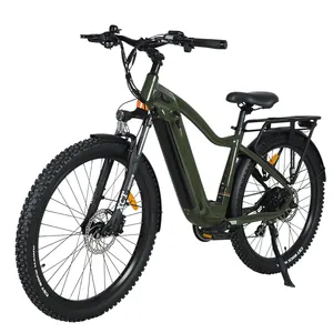 TOODI M26 Überlegene Qualität 48V 750W Heckantrieb 26 Zoll Fat Tire Mountain E Fahrrad Elektro fahrrad Hochleistungs-Elektro fahrräder für Erwachsene