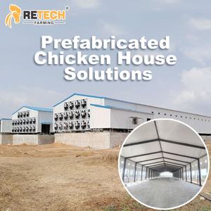 Retech tasarım kanatlı ev yapısı bina otomatik H tipi katmanlı tavuk pil kafes ekipmanları ile yumurta toplama - Product Image 6