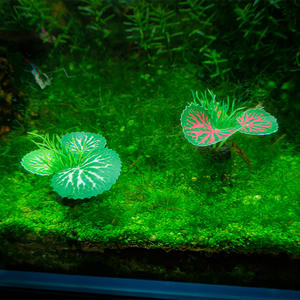 Nouvelle arrivée transfrontalière en plastique 4cm petite taille aquatique à bordure verte à feuilles blanches plantes aquatiques Aquarium décoration de réservoir de poissons - Product Image 4