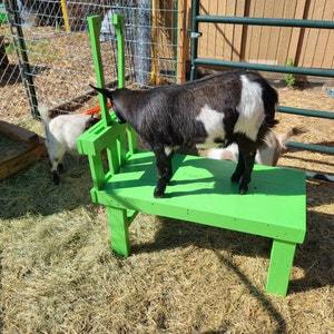 Supporto per Mungitura <span class=keywords><strong>Capre</strong></span> <span class=keywords><strong>Nane</strong></span>, Supporto per Taglio Zoccoli <span class=keywords><strong>Capre</strong></span> <span class=keywords><strong>Nane</strong></span>, Supporto per Mungitura Mini <span class=keywords><strong>Capre</strong></span> in Legno - Product Image 4