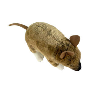 Lindo Peluche de <span class=keywords><strong>Bandicoot</strong></span>, Juguete Realista de Animal Salvaje Australiano, Muñeco de Peluche Seguro, Decoración para <span class=keywords><strong>el</strong></span> Hogar, Disponible al por Mayor para Niños - Product Image 5