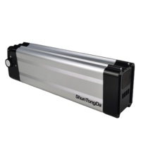 Batterie de vélo électrique Silver Fish 24V 10Ah 30Ah, pack de batteries 18650 grande capacité, BMS 30A pour vélo électrique, moteur 500W