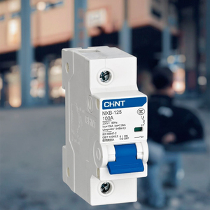 Disjoncteur miniature MCCB NXB-125 avec capacité de coupure de 10KA, 1-4P, 63A, 80A/100A/125A, bon prix - Product Image 5