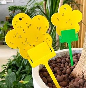 डबल-पक्षीय पीले बोर्ड कीट जाल जाल वाली गेको डिजाइन बालकनी वनस्पति वनस्पति रोपण भूमि सम्मिलन घरेलू उपयोग - Product Image 2