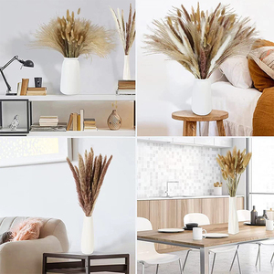 Natural Dried Flower Bouquet with Pampas Grass Bunny Tails Eucalyptus and Craspedia <strong>Billy</strong> Balls for Boho Home Wedding Decoration - Product Image 5