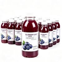 Minuman Jus Buah Blueberry 360g*12 Botol Siap Minum Rasa Berry Segar untuk Pesta Minuman Sehari-hari Pasokan Grosir