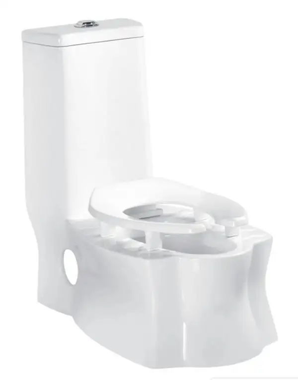 Moderne Doppel toilette mit Hock pfanne WC Sanitär keramik Keramik Wassers chrank
