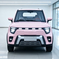Nouveau véhicule de transport domestique électrique SMT à quatre roues, SUV rose avec phares LED, design élégant, fabriqué en Chine
