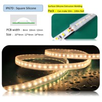 Bande lumineuse led de coextrusion de silicium étanche conforme à la norme ip65, rouleau de 12V, 24V, 5050 rvb, 50m et 100m, meilleure vente
