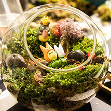 Musgo Seco Real de China para Decoración de Interiores, Jardín Bonsái, Paisajismo, Musgo Seco Artificial para Superficies, Venta al por Mayor - Product Image 3