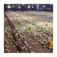 Bâtiment d'élevage de poulets de chair à prix abordable en Chine