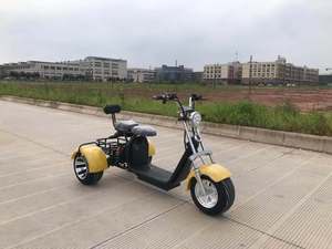 Tricycle Électrique <span class=keywords><strong>3</strong></span> <span class=keywords><strong>Roues</strong></span> de Qualité Exceptionnelle 2026 <span class=keywords><strong>pour</strong></span> Adultes – Vélo Électrique à Trois <span class=keywords><strong>Roues</strong></span> Citycoco - Product Image 4