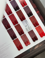 Automne/hiver bricolage UV LED Gel vernis à ongles ensemble dans le vin rouge nouvel an couleurs de noël fournitures de beauté longue durée