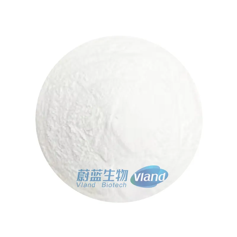 99% Purity L-Glutamine Fine Powder 120 Mesh Food Additives for Health Supplements