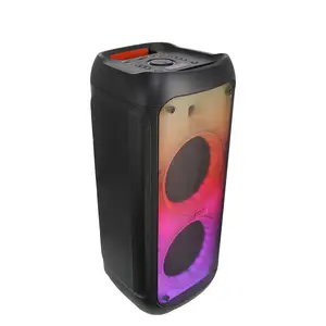 Haut-parleur Surround professionnel double 10 pouces + tweeter 7.4V/4500mah batterie au Lithium BT 5.0 haut-parleurs portables haut-parleur