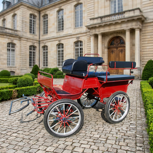 2026 Voitures de balade pour parcs, Véhicules à roues de traction, Voitures de balade vintage, Voitures de balade royales, Voitures de balade Marathon, Voitures de balade à poney - En vente - Product Image 1